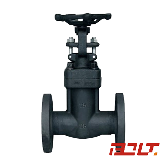 Forged Bellows Sealed Valve