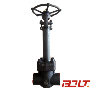 Cryogenic Forged Gate Valve