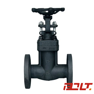 Bellows Sealed Forged Gate Valve